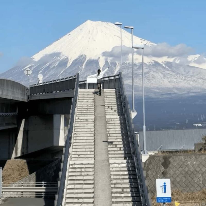 From Tokyo: Private Mount Fuji & Hakone Custom Day Tour - Final Thoughts