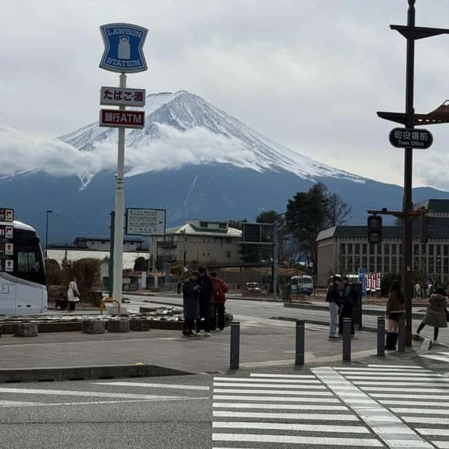From Tokyo Private Mount Fuji & Hakone Day Trip With Pick Up - An In-Depth Look at the Tour Experience