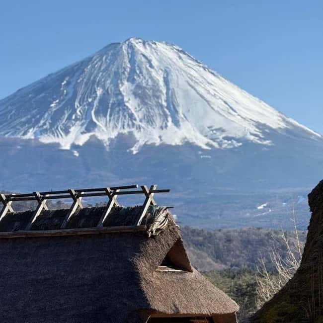 From Tokyo Private Mount Fuji & Hakone Day Trip With Pick Up - Final Thoughts