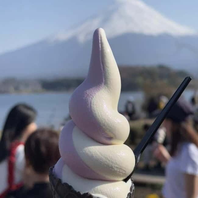 From Tokyo Private Mount Fuji & Hakone Day Trip With Pick Up - FAQ