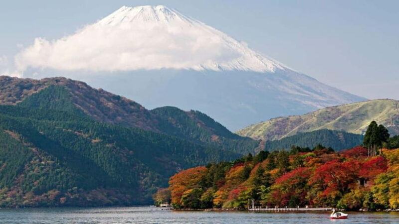 From Tokyo: Private Mt. Fuji and Hakone Tour by Car - Who Would Benefit Most from This Tour?
