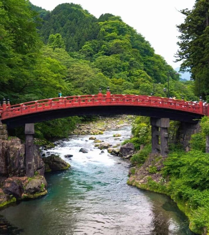 From Tokyo: Private Nikko Shrines and Nature Day Tour - A Dive into the Experience: What to Expect from This Niko Day Tour