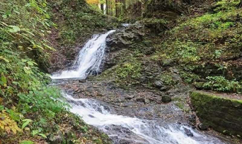 From Tokyo: Private Nikko Shrines and Nature Day Tour - Who Should Consider This Tour?