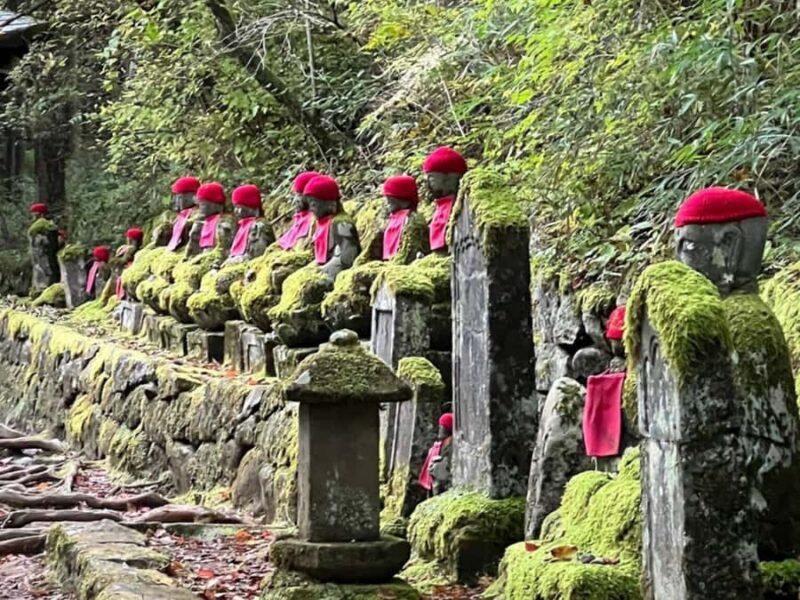 From Tokyo: Private Nikko World Heritage Sights One Day Trip - The Experience of Traveling with a Private Guide