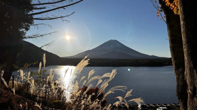 From Tokyo: Private Sunrise & Scenic Tour to Mt Fuji - Is This Tour Worth It?