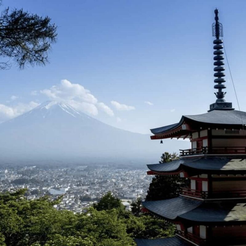 From Tokyo Private Tour Mount Fuji Fully Customize Itinerary - Key Points