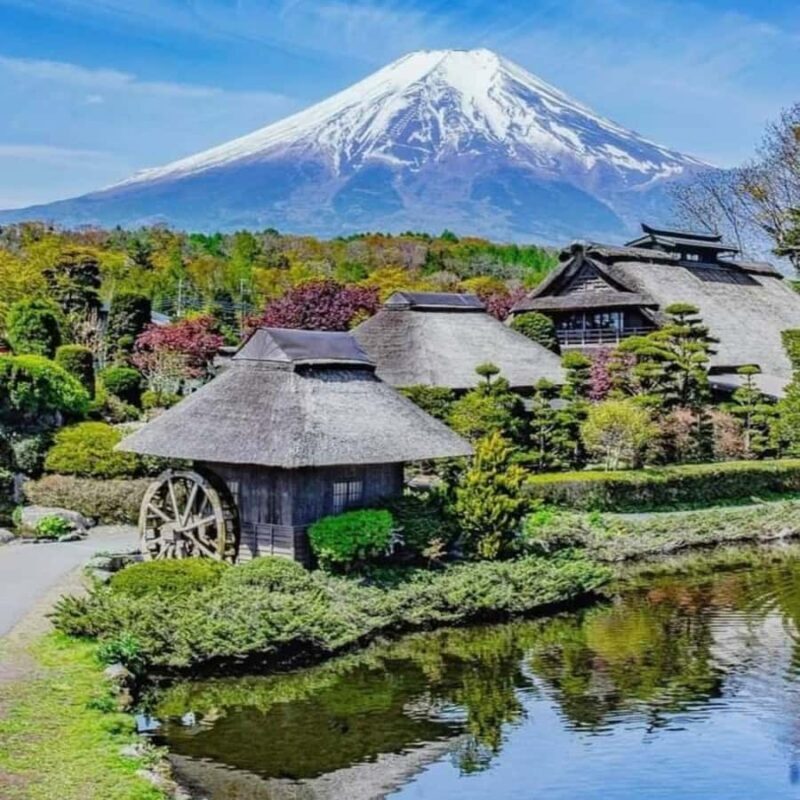 From Tokyo Private Tour Mount Fuji Fully Customize Itinerary - Frequently Asked Questions