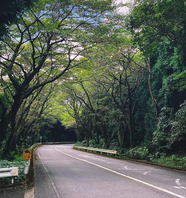 From Tokyo: Private Tour to Fuji/Hakone - Onsen, Art, Nature - Key Points