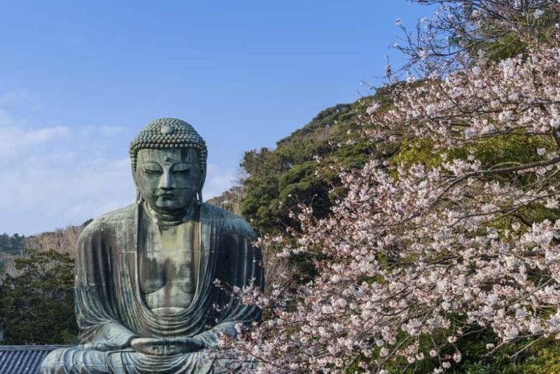 From Tokyo: Private Tour to Kamakura - Temples, Sea, Onsen - A Closer Look at the Kamakura Private Tour
