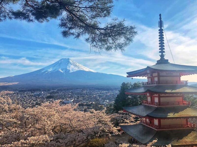 From Tokyo: Private Trip to Mount Fuji and Lake Kawaguchi - Who Would Love This Tour?