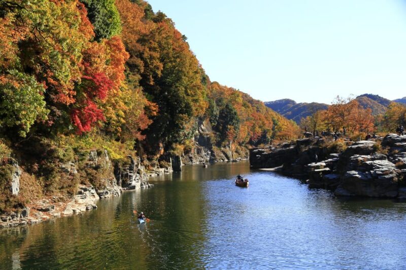 From Tokyo: Seibu Railway 1 Day Pass and Nagatoro - Exploring the Value of the Seibu Railway 1 Day Pass and Nagatoro