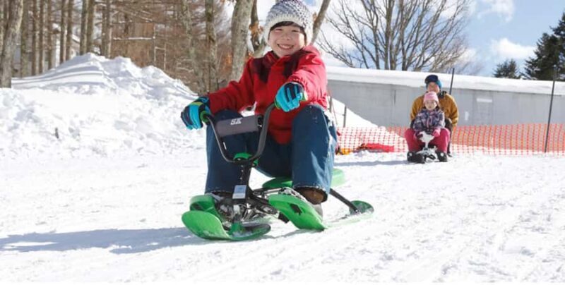 From Tokyo: Ski DayTrip with Gears & Wears to Hodaigi - An Overview of the Experience