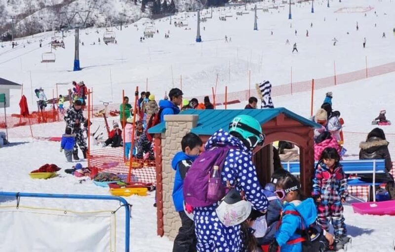 From Tokyo Skiing Day Tour: Niigata Iwappara Ski Resort - Key Points