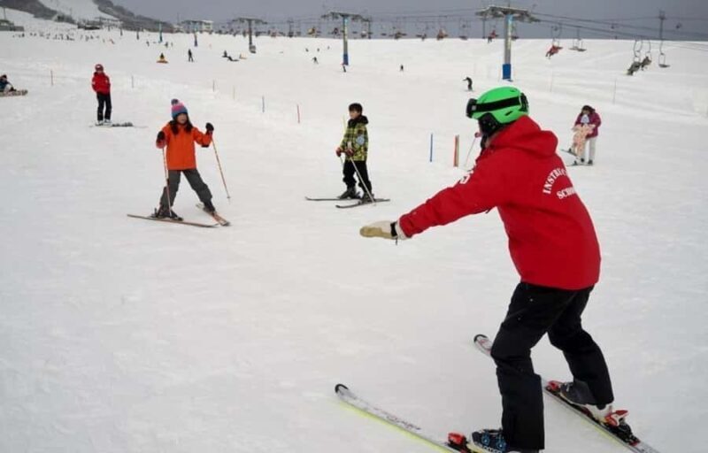 From Tokyo Skiing Day Tour: Niigata Iwappara Ski Resort - An In-Depth Look at the Iwappara Ski Resort Day Tour