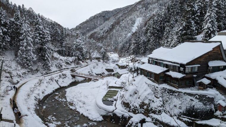 from-tokyo-snow-monkey-1-day-tour-with-beef-sukiyaki-lunch