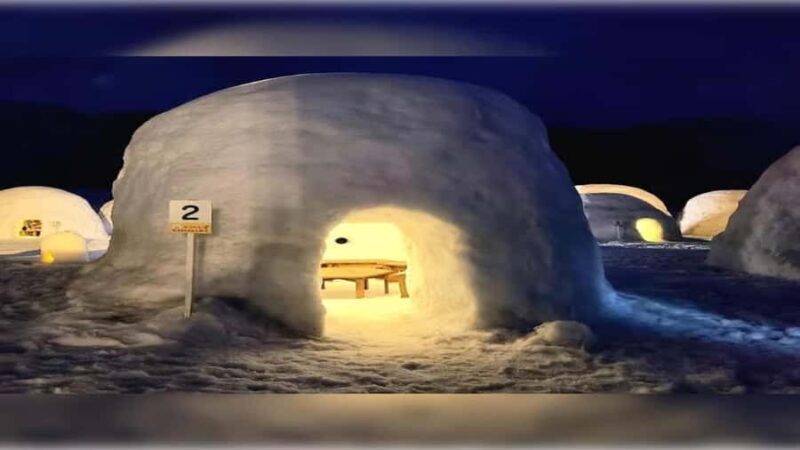 From Tokyo: Snow Monkey Full Day Customizable Private Tour - FAQ