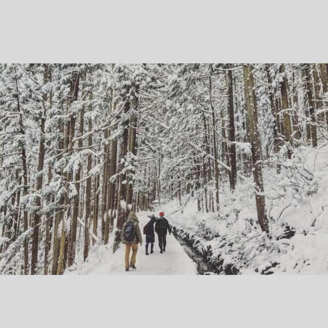 From Tokyo: Snow Monkey Park and Miso Production Day Tour - Key Points