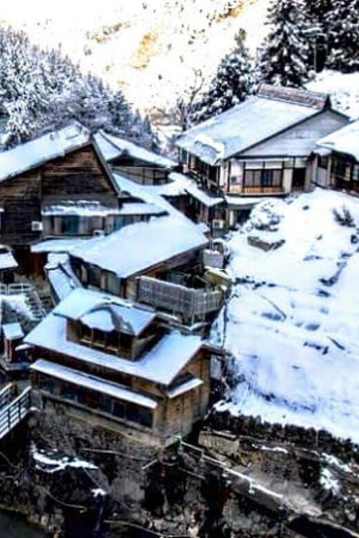 From Tokyo: Snow Monkey Private Customize Day Tour - Warmth and Relaxation in Shibu Onsen