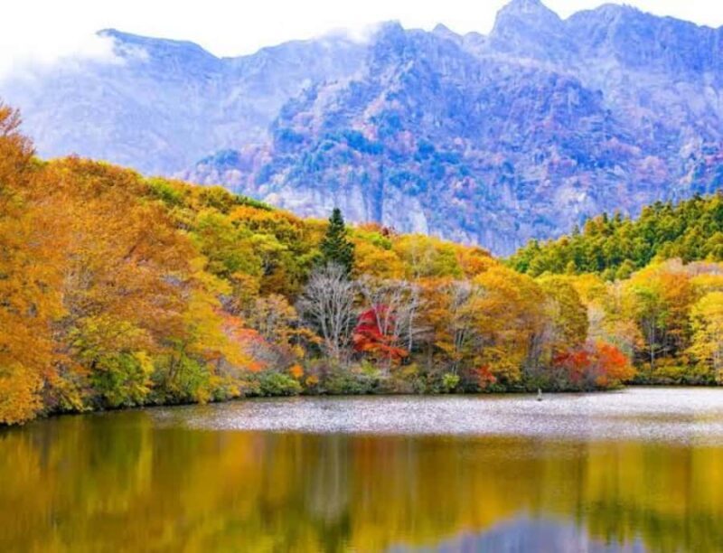 From Tokyo: Snow Monkey & Zenkoji Temple Customizable Tour - Obuse Town: A Slice of Traditional Japan