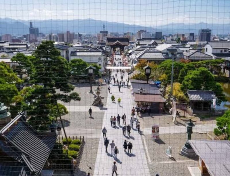 From Tokyo: Snow Monkey & Zenkoji Temple Customizable Tour - The Practicalities: How the Tour Works