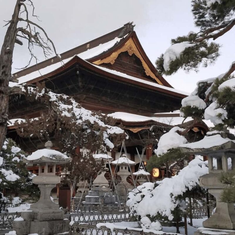 From Tokyo: Snow Monkey & Zenkoji Temple Tour with Guide - What Makes This Tour Truly Valuable?