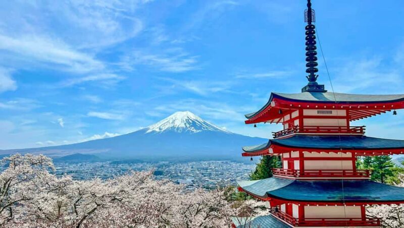From Tokyo: Tailor-Made Fuji Private Tour: Culture & Views - FAQs