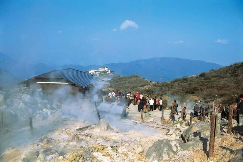 From Tokyo to Hakone: Train Tickets and Hakone Free Pass - Overview of the Experience