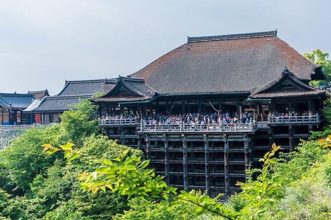 from-tokyo-to-kyoto-and-nara-a-captivating-full-day-private-tour