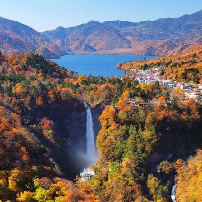 From Tokyo To Nikko Private Day Tour With English Guide - What’s Included and What’s Not