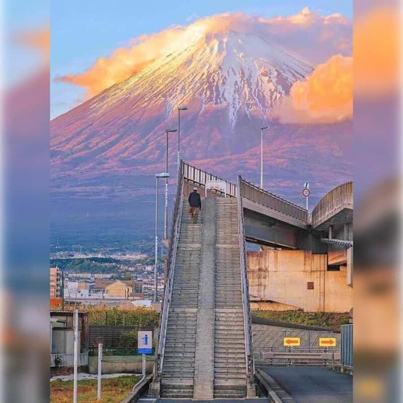 From Tokyo to the Clouds:A Private customize Mount Fuji Tour - Key Points