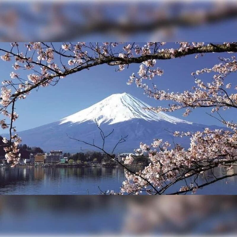 From Tokyo to the Clouds:A Private customize Mount Fuji Tour - Frequently Asked Questions