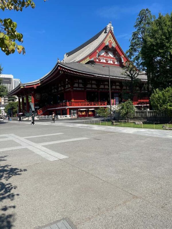 From Tokyo: Tokyo Full-Day Private Customizable City Tour - Who Should Opt for This Tour?