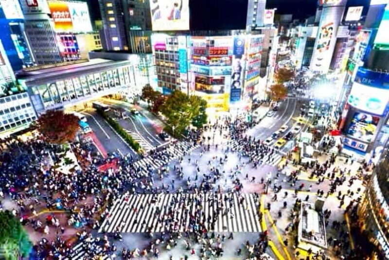 From Tokyo: Tokyo Private Customize Tour With English Driver - Exploring Tokyo with a Private Customizable Tour and English Driver