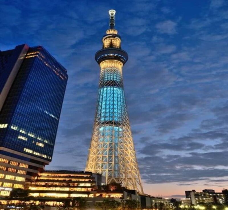 From Tokyo: Tokyo Private Tour with Temples & Towers - Why the Flexibility Matters