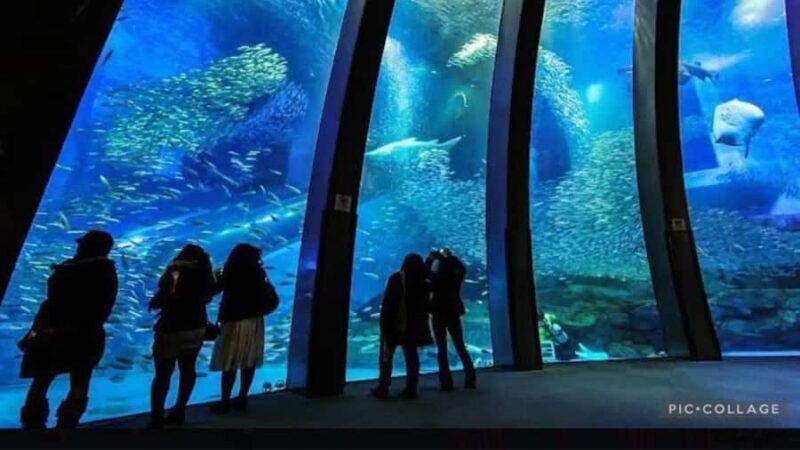 From Tokyo: Yokohama and Tokyo Private Day Tour with Guide - What to Expect from the Tour Experience