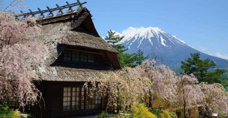 from-tokyo-yokohama-mount-fuji-sightseeing-trip