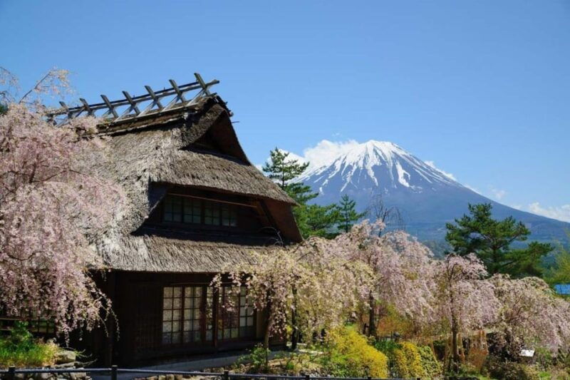 from-tokyo-yokohama-mount-fuji-sightseeing-trip
