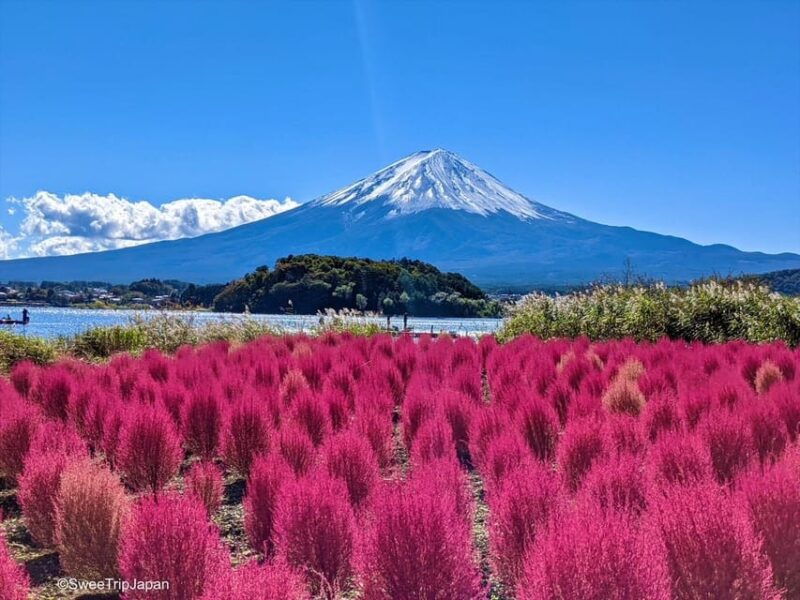 from-tokyo-yokohama-mount-fuji-sightseeing-trip