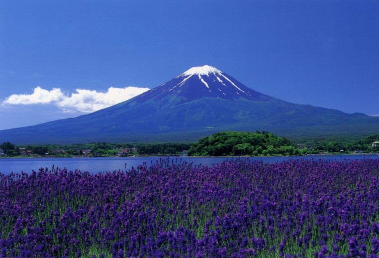 from-tokyo-yokohama-mount-fuji-sightseeing-trip