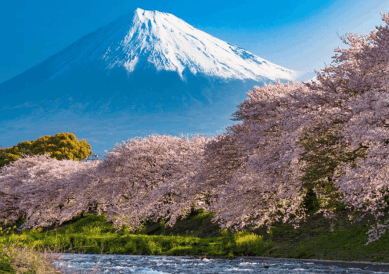 from-tokyomount-fuji-oshino-hakkai-and-onsen-full-day-trip