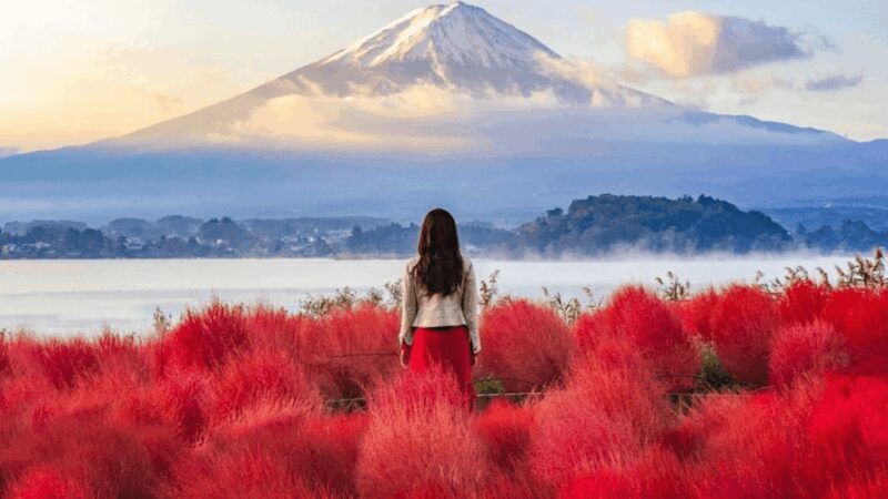 From Tokyo:Mount Fuji Private Customizable Tour With English - Key Points