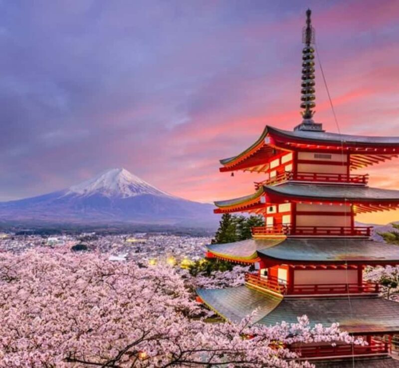 From Tokyo:Mount Fuji Private Customizable Tour with Guide - Key Points