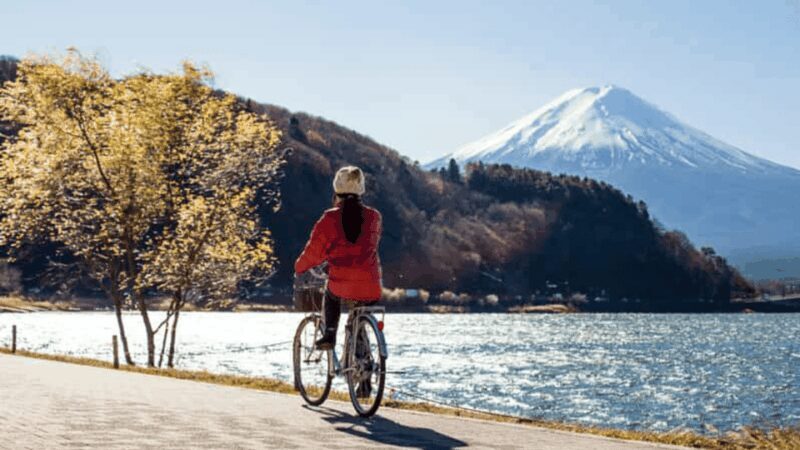 From Tokyo:Mount Fuji private day tour with English driver - Introduction: Why Consider This Tour?