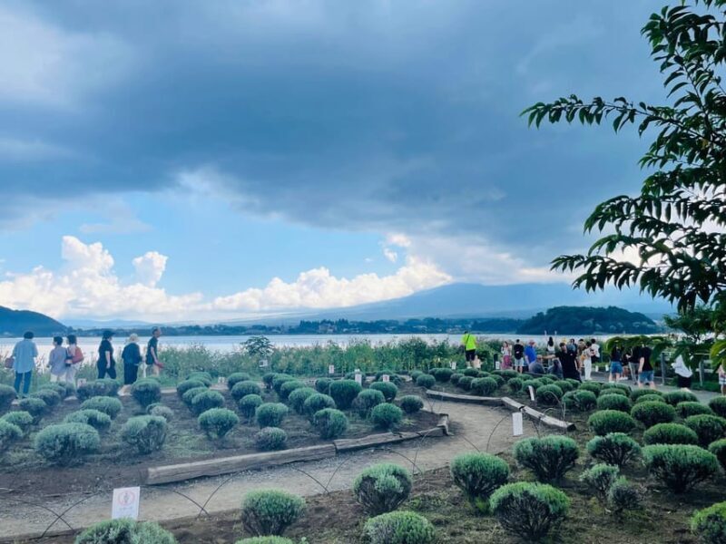 From Tokyo:Mount Fuji private day tour with English driver - Itinerary Breakdown: What to Expect