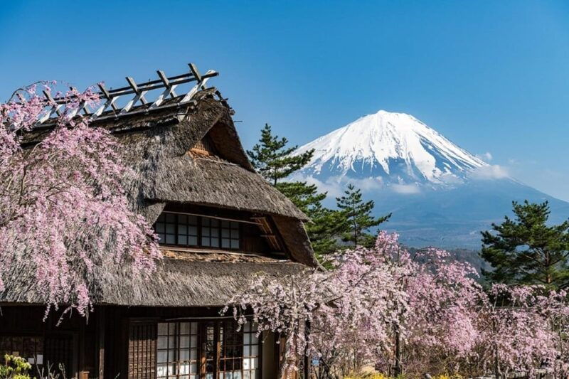 from-tokyomount-fuji-top-4-must-visit-attractions-day-tour