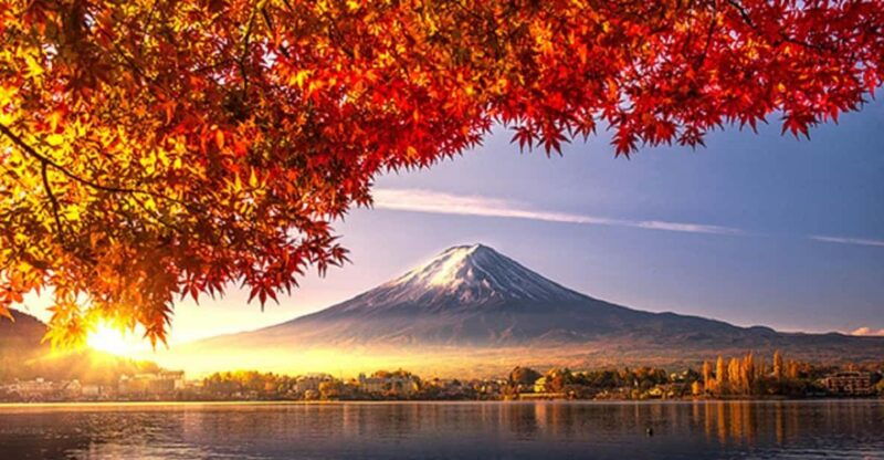 from-tokyomount-fuji-top-4-must-visit-attractions-day-tour