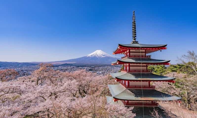 From Tokyo:Mt.Fuji &Hakone Trip with English Speaking guide - Introduction: Is the Tokyo to Mount Fuji & Hakone Trip Worth It?