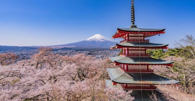 From Tokyo:Mt.Fuji &Hakone Trip with English Speaking guide - Key Points
