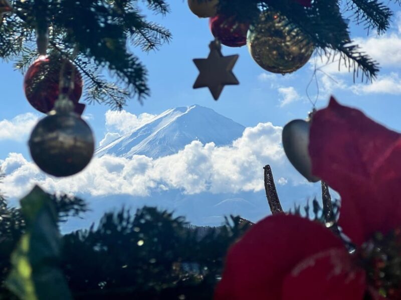 From Tokyo:Mt.Fuji &Hakone Trip with English Speaking guide - How Valuable is the Price Tag?