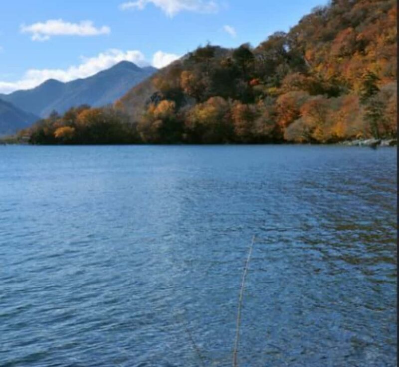 From Tokyo:Nikko World Heritage Customizable Tour with Guide - Transportation and Comfort